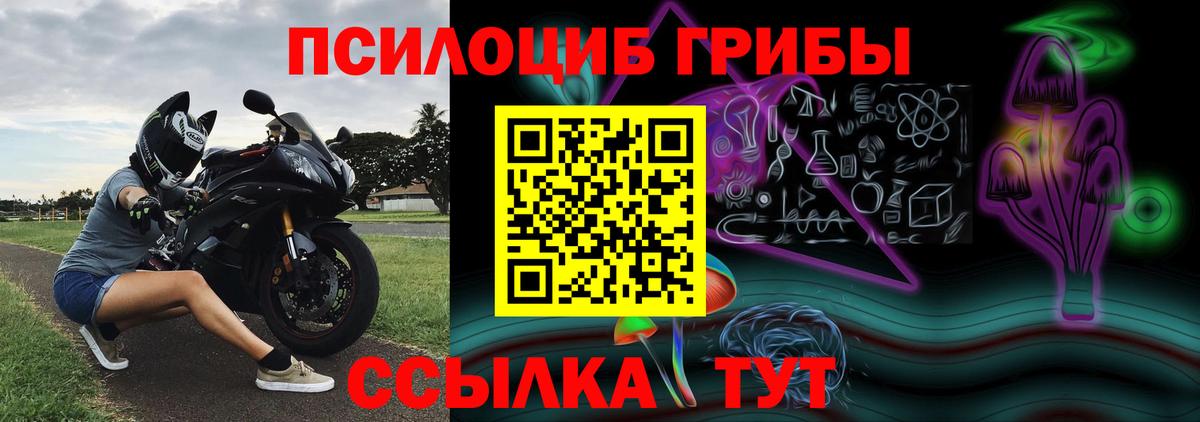 Камышлов  Галлюциногенные грибы ЛСД  Вход с VPN  Галлюциногенные грибы GOLDEN TEACHER 
